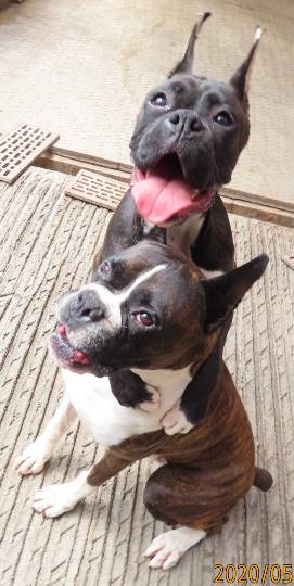 生き物ルーム第16