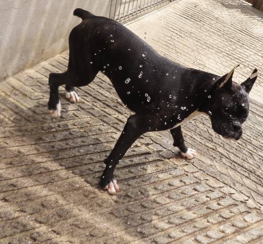 生き物ルーム第16