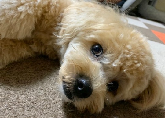 生き物ルーム第16