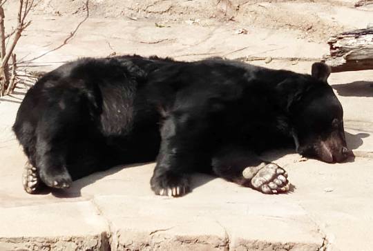 生き物ルーム第16