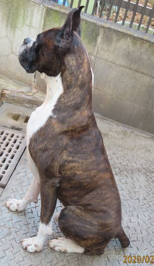 生き物ルーム第16