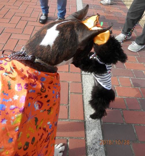 生き物ルーム第16