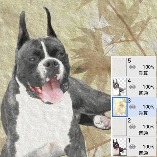 生き物ルーム第17