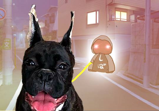 生き物ルーム第17