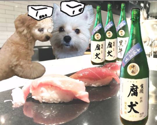 生き物ルーム第16