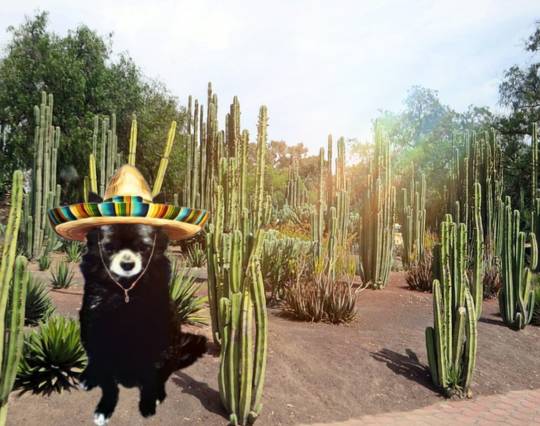 生き物ルーム第18