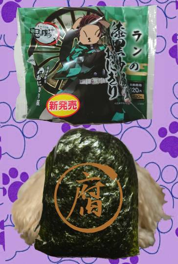 生き物ルーム第18