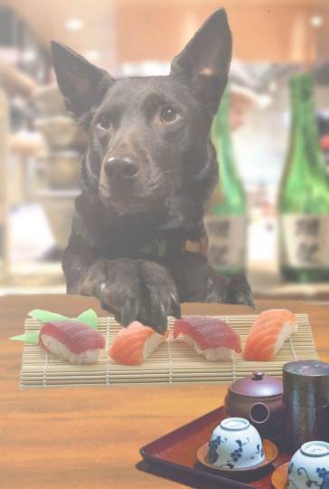 生き物ルーム第16