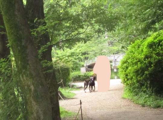 生き物ルーム第18