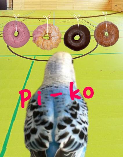 生き物ルーム第18