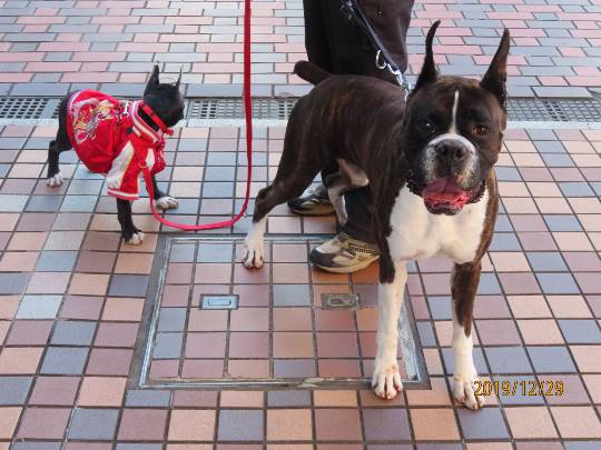 生き物ルーム第17