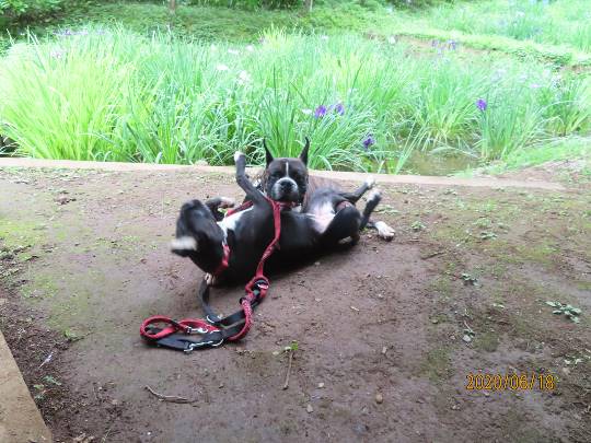 生き物ルーム第18