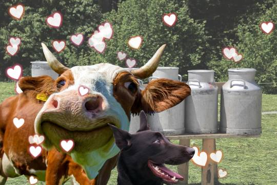 EGG'S CAFE 　卵の俺達ぁ～巣籠もりのプロと言っても過言ではないな(笑)