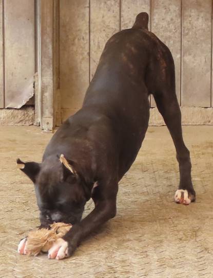 生き物ルーム第16