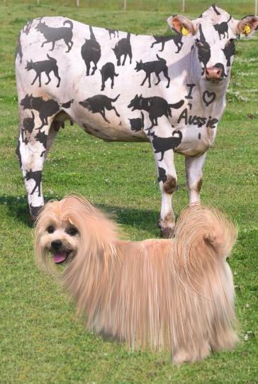 生き物ルーム第17