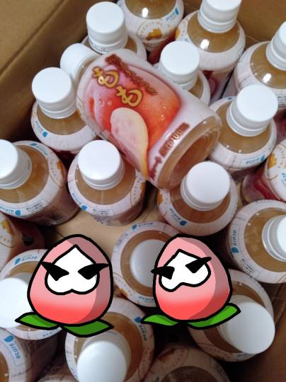 つぶやき　その54 　妄想は空を翔る