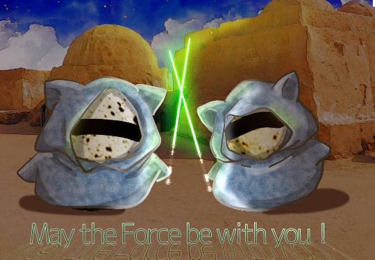 生き物ルーム第17