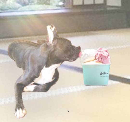 生き物ルーム第17