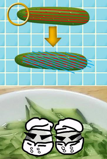 生き物ルーム第17