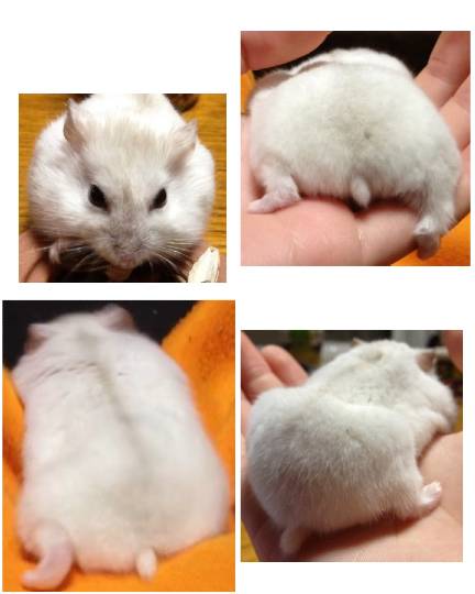 生き物ルーム第18