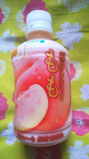 つぶやき　その54 　妄想は空を翔る