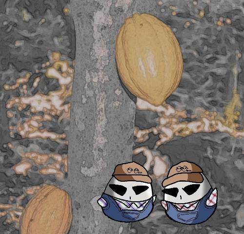 EGG'S CAFE 　卵の俺達ぁ～巣籠もりのプロと言っても過言ではないな(笑)