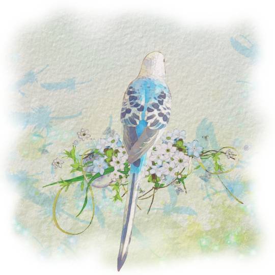 生き物ルーム第18