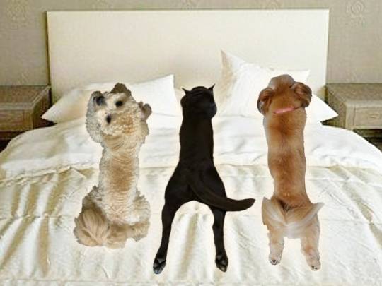 生き物ルーム第18