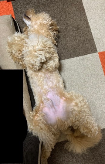 生き物ルーム第18