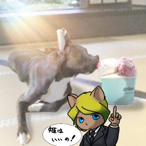 生き物ルーム第17