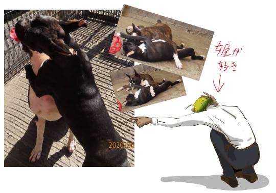 生き物ルーム第18