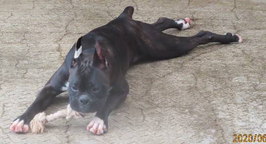 生き物ルーム第18