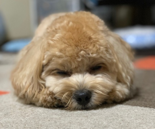 生き物ルーム第18