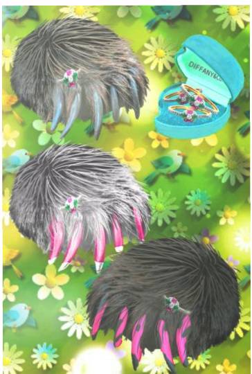 生き物ルーム第16