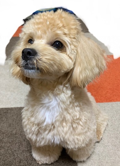 生き物ルーム第18