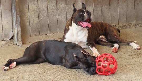 生き物ルーム第17