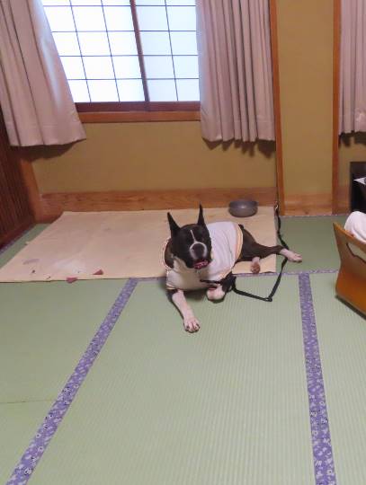 生き物ルーム第16