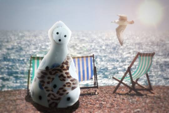 生き物ルーム第18