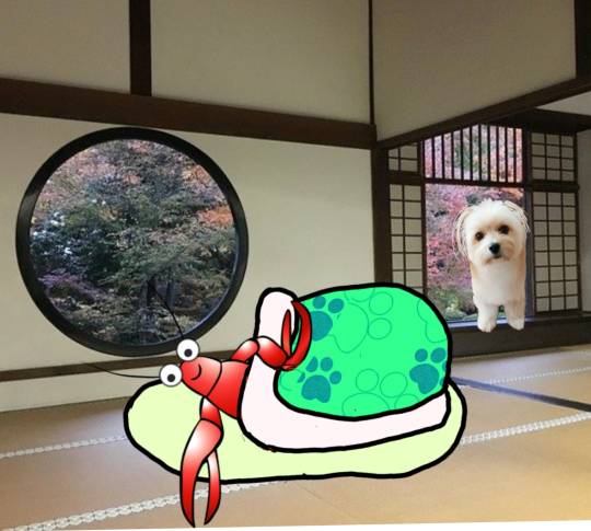 生き物ルーム第18