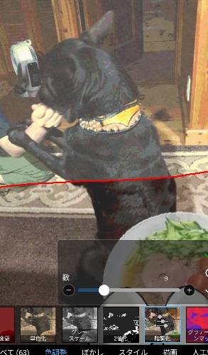 生き物ルーム第17