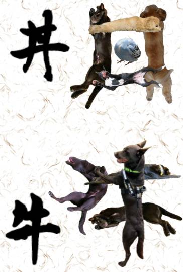 生き物ルーム第18