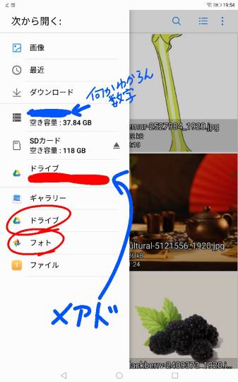 生き物ルーム第17