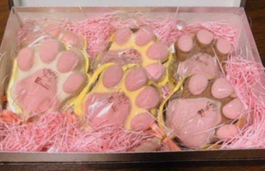 生き物ルーム第19