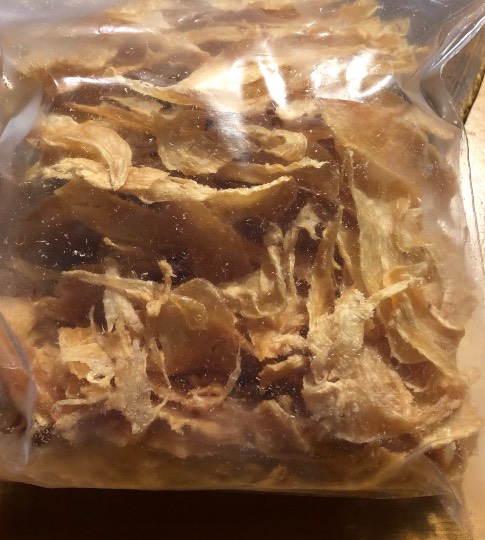 生き物ルーム第17