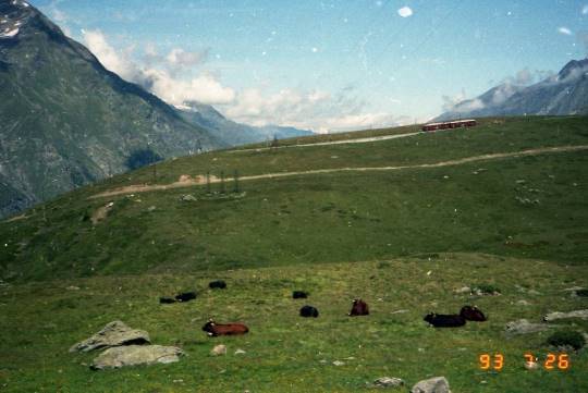 生き物ルーム第18