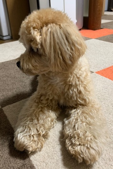 生き物ルーム第17