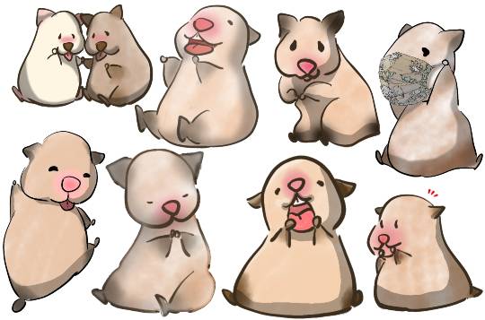 生き物ルーム第18