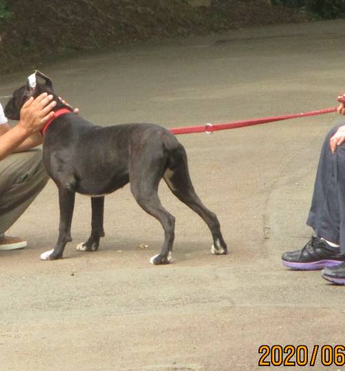 生き物ルーム第18