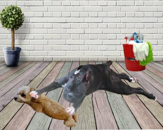 生き物ルーム第18