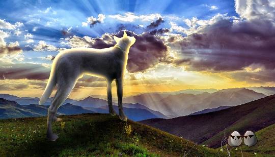 EGG'S CAFE 卵の俺達ぁ~巣籠もりのプロと言っても過言ではないな(笑)